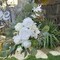 Set of 2 for Wedding Signs Reception Ceremony and Welcome Sign Floral Decoration (White)